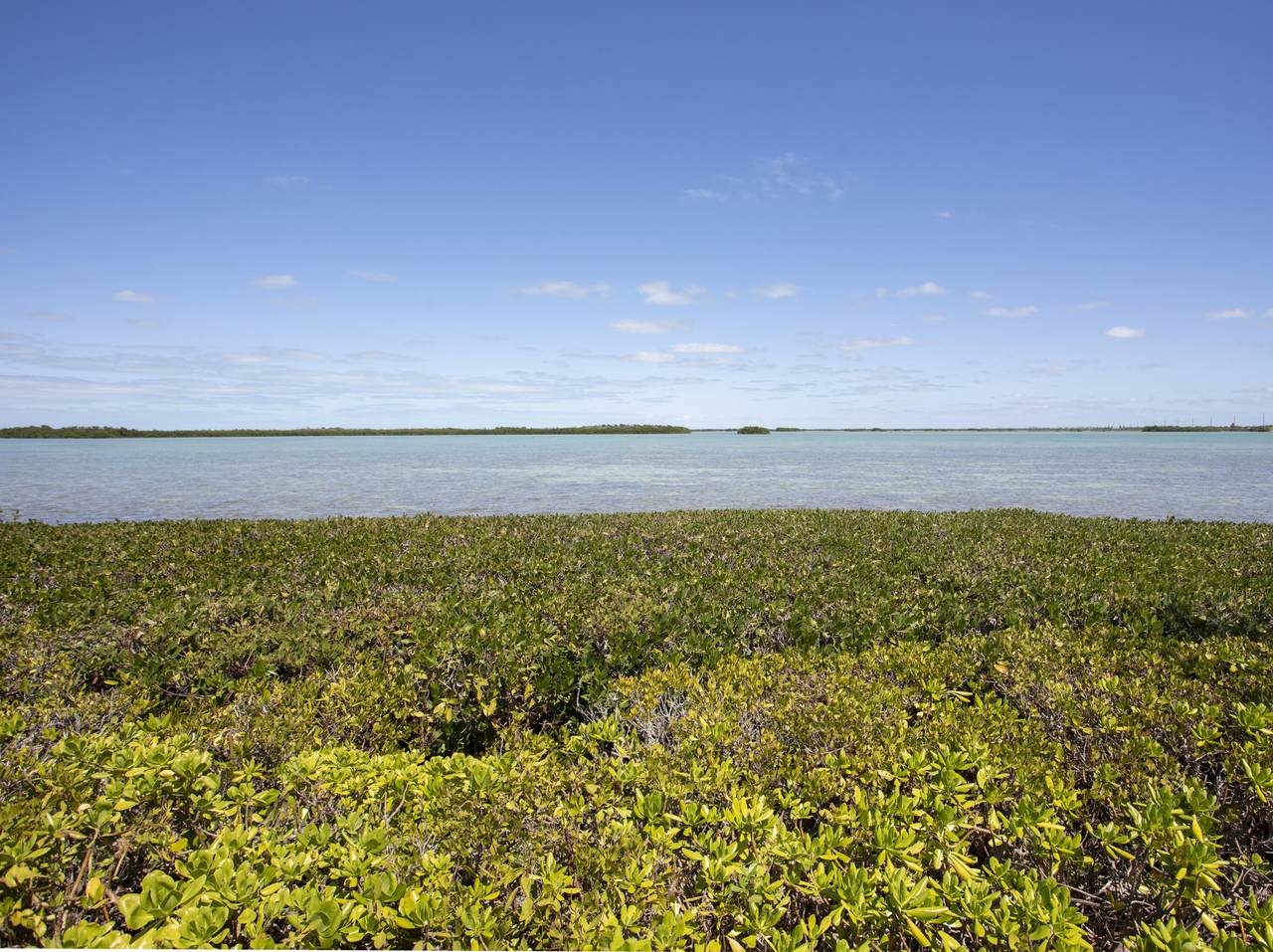 9 Sea Lore Lane - Photo 1