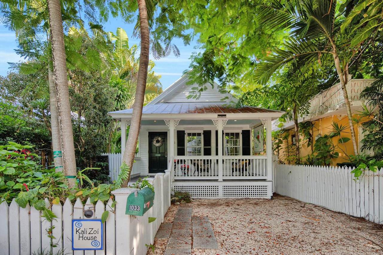 1033 Catherine Street - Photo 1