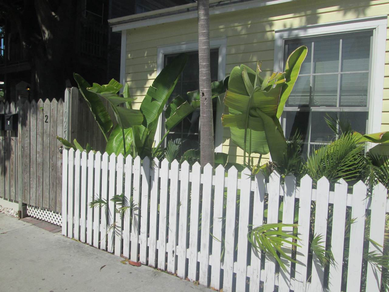 1025 Whitehead Street - Photo 1