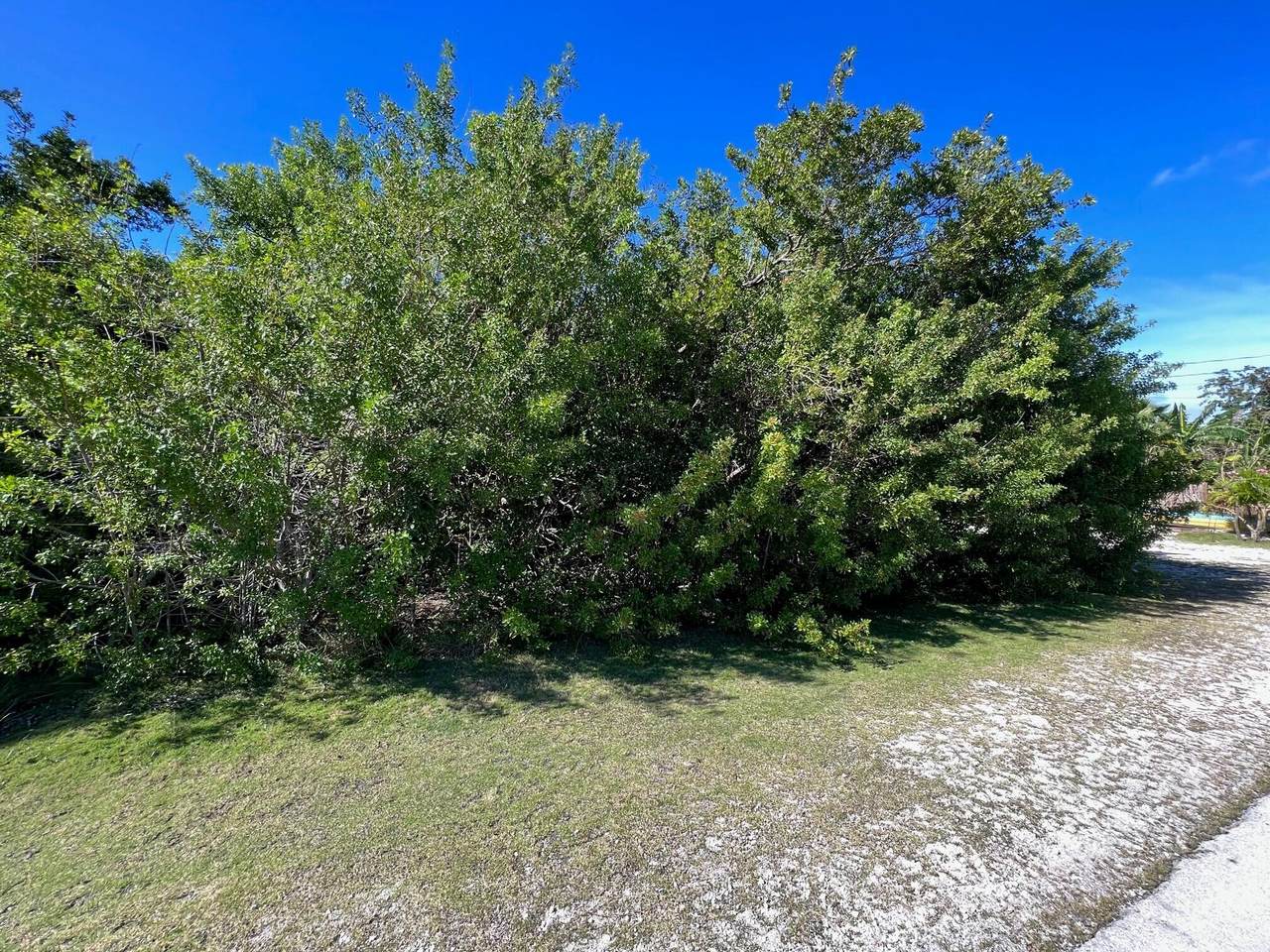 154 Newfound Boulevard - Photo 1