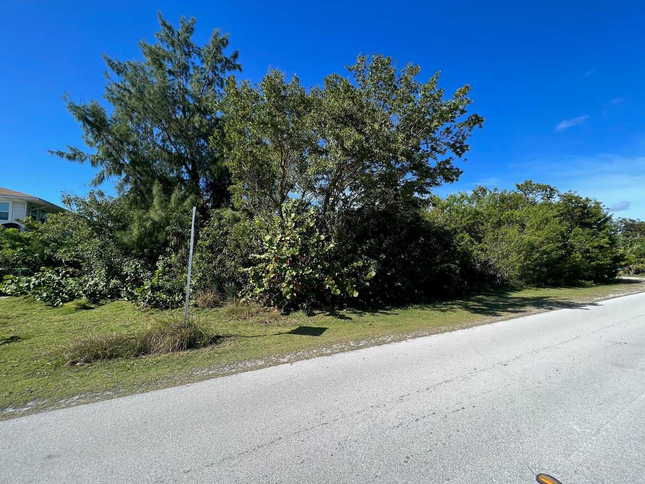 164 Newfound Boulevard - Photo 1