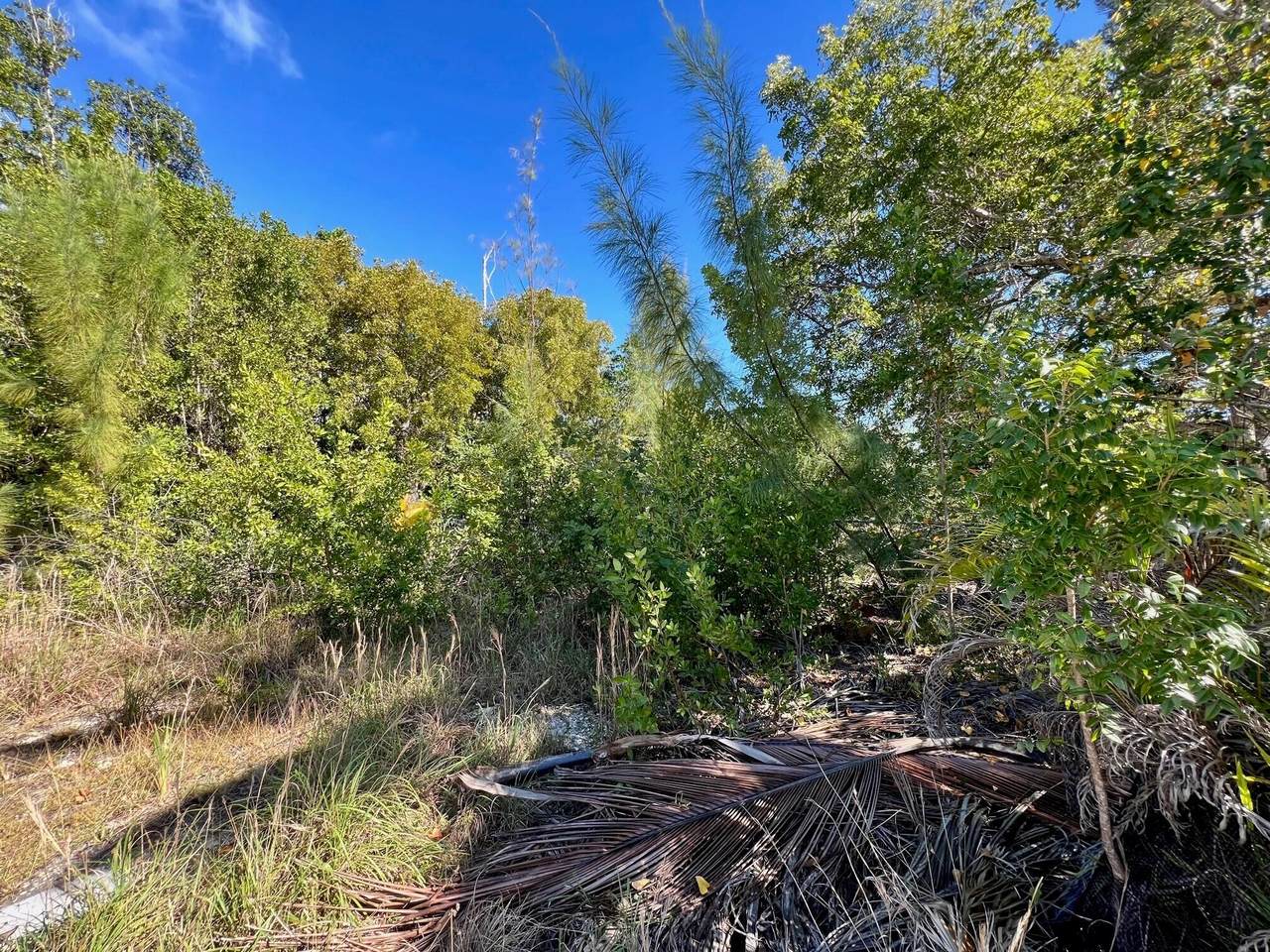 35 Lobstertail Road - Photo 1