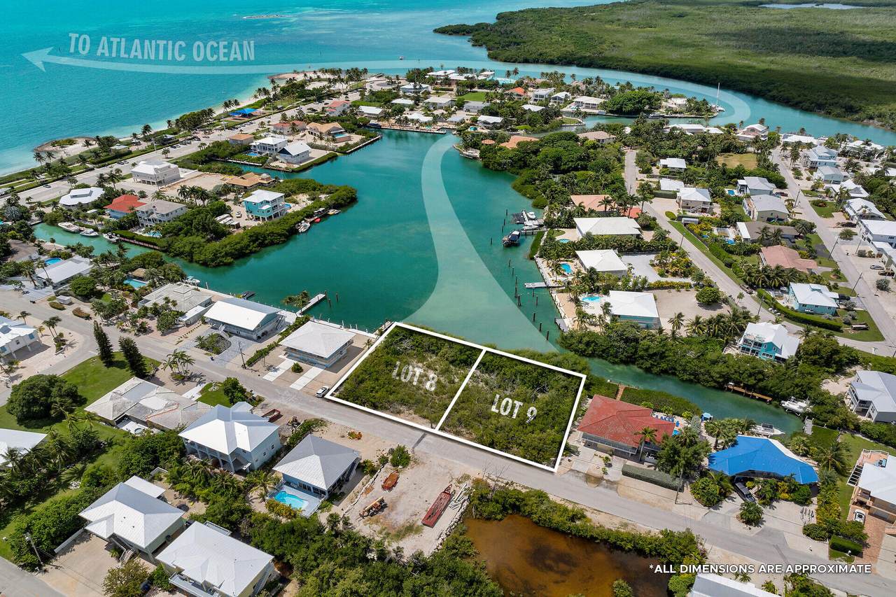 Lots 8 & 9 Avenida Primiceria - Photo 1