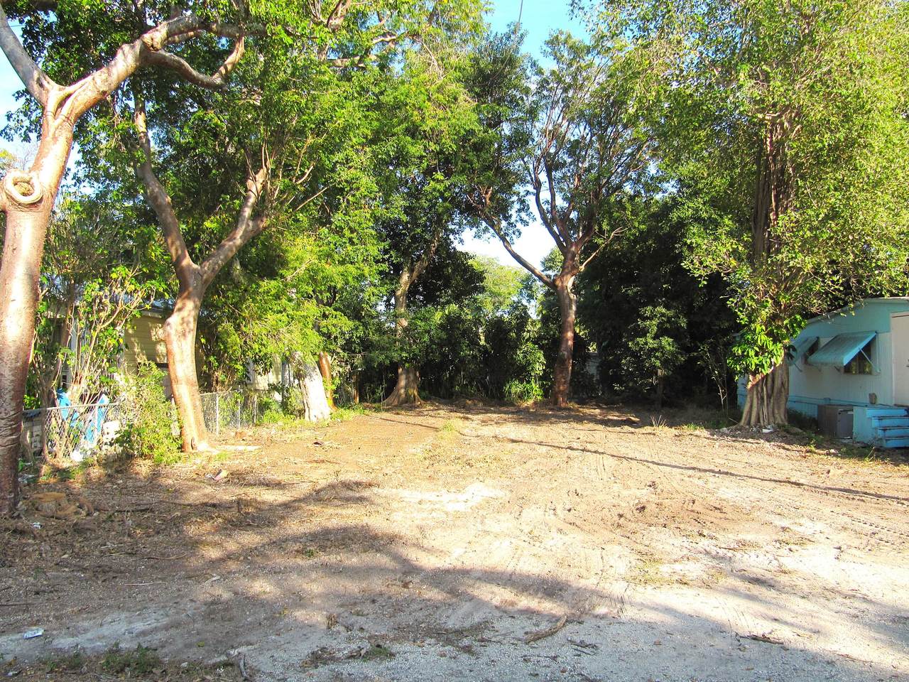 50 Tina Place - Photo 1