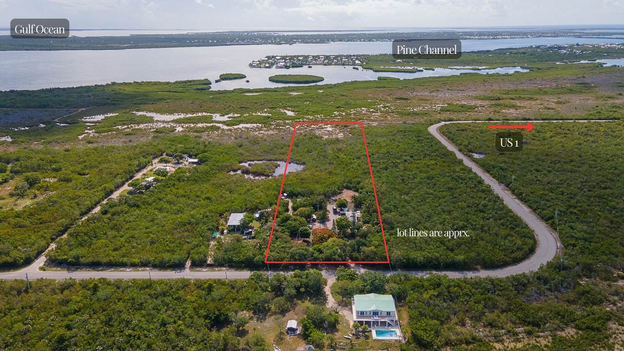2231 Middle Torch Road - Photo 1