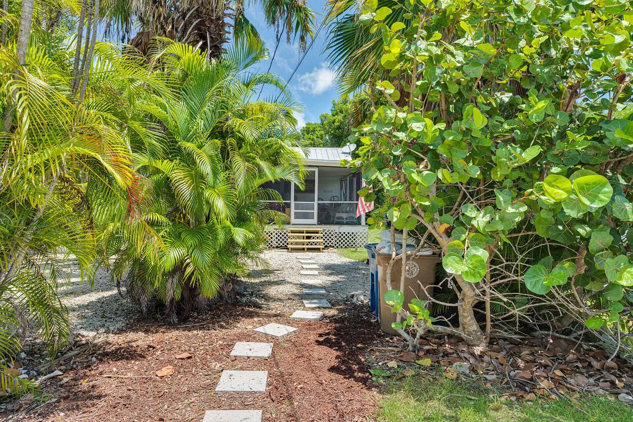 30461 Poinciana Road - Photo 1