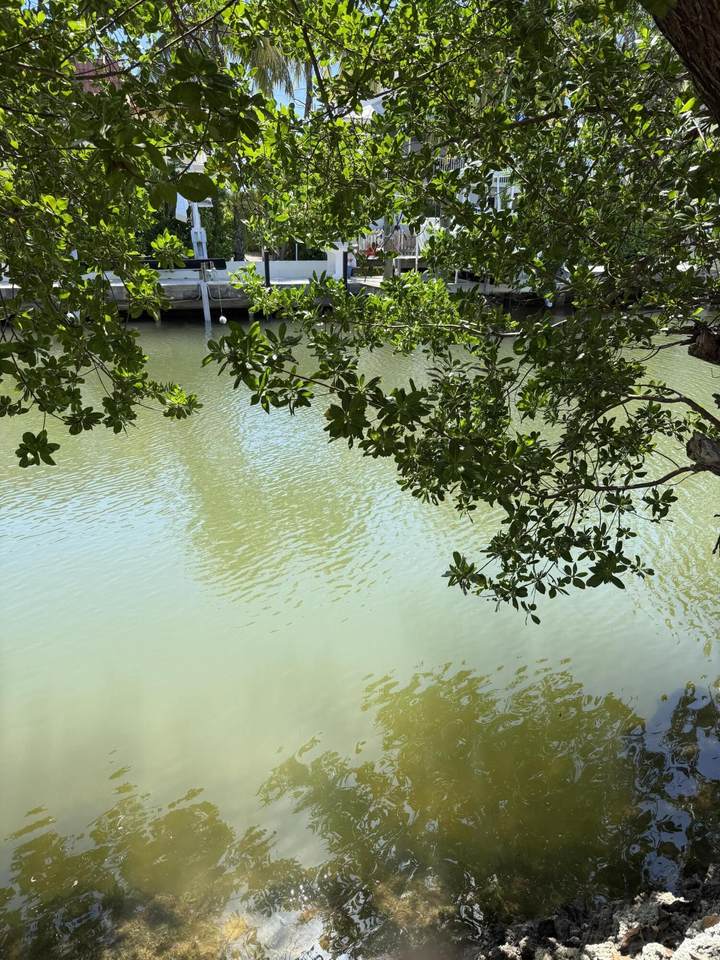 149 Iroquois Drive - Photo 1