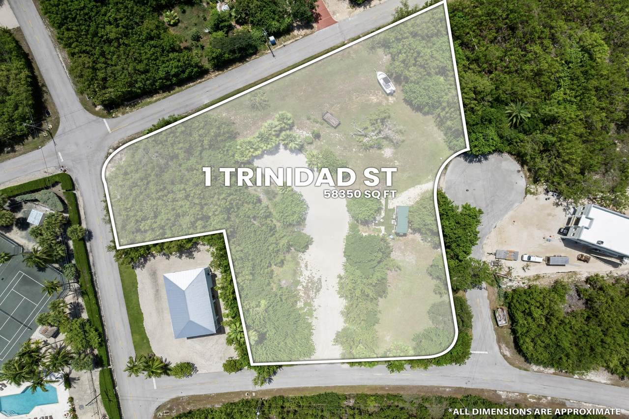1 Trinidad Street - Photo 1