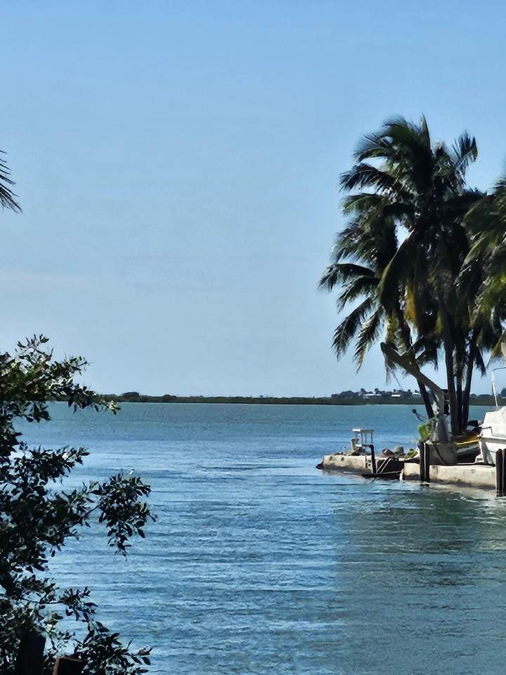 17171 Seagrape Lane - Photo 1