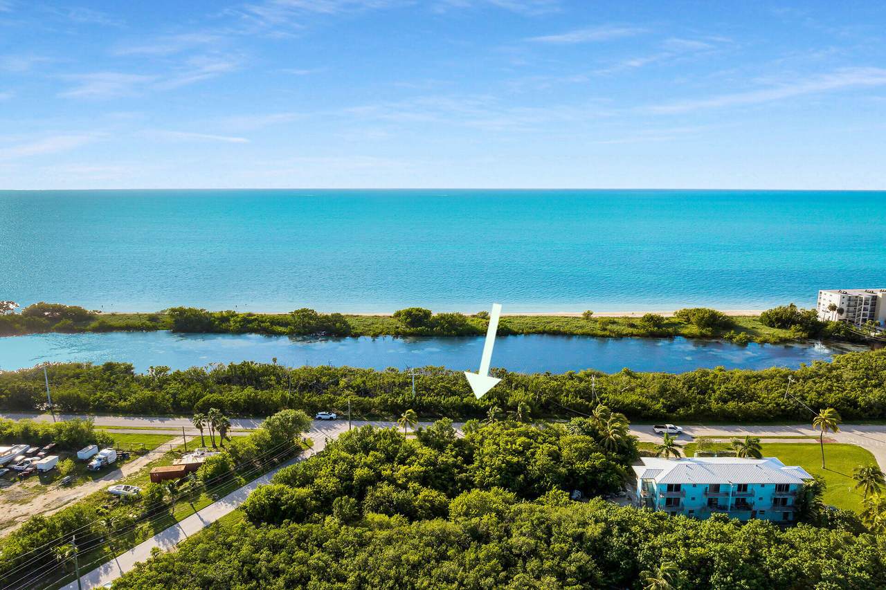 300 Coco Plum Drive - Photo 1