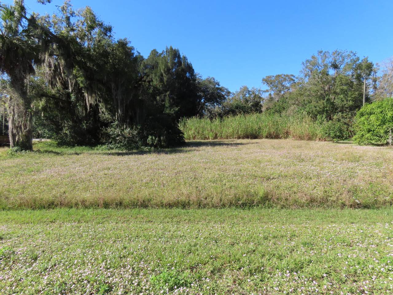 120 Myrtle Street - Photo 1