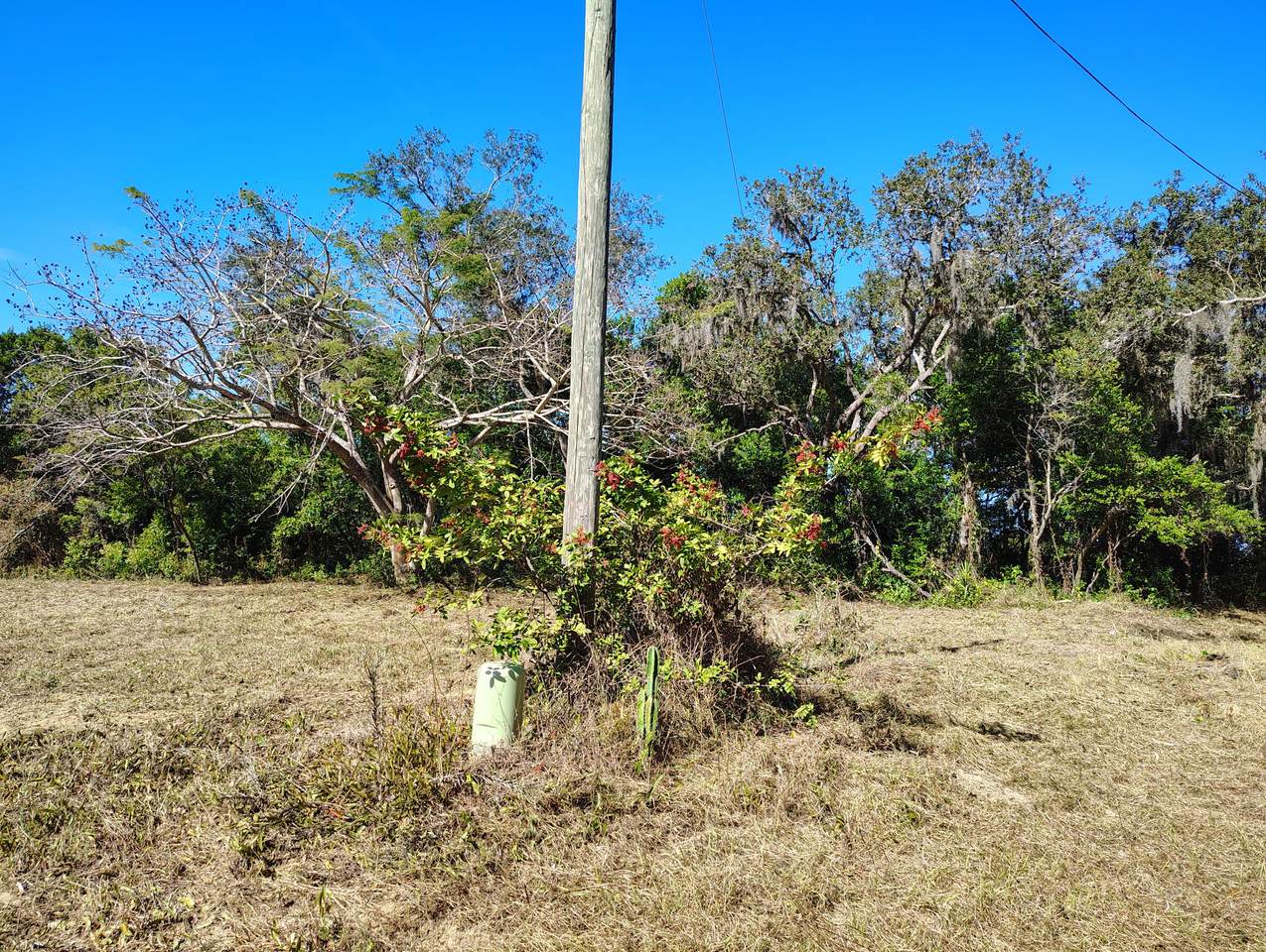 https://bt-photos.global.ssl.fastly.net/flkeys/1280_boomver_1_618794-2.jpg