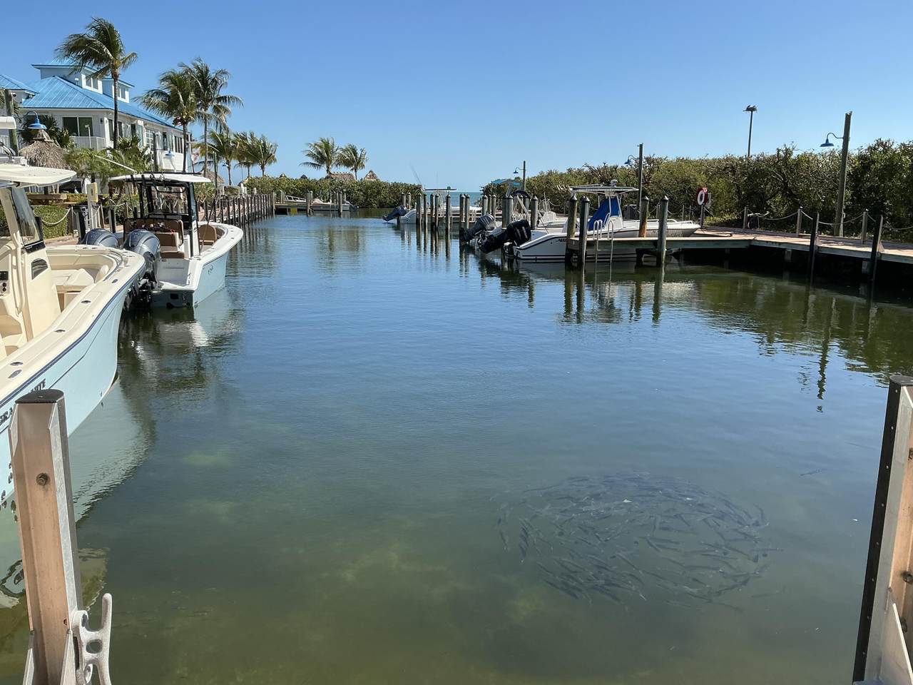 500 Burton Drive - Photo 1