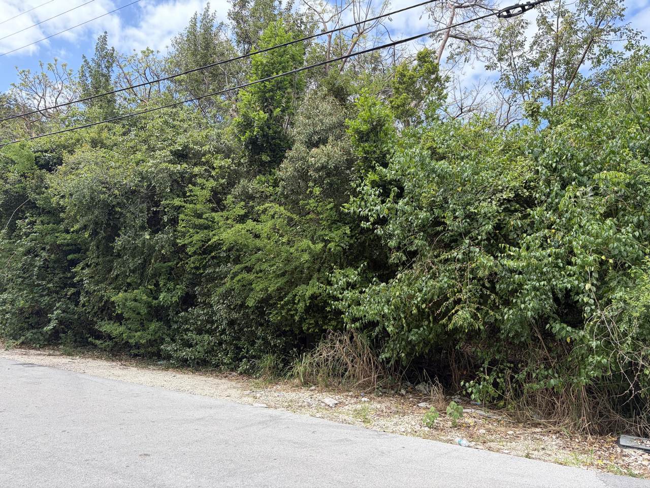 1028 Snapper Lane - Photo 1