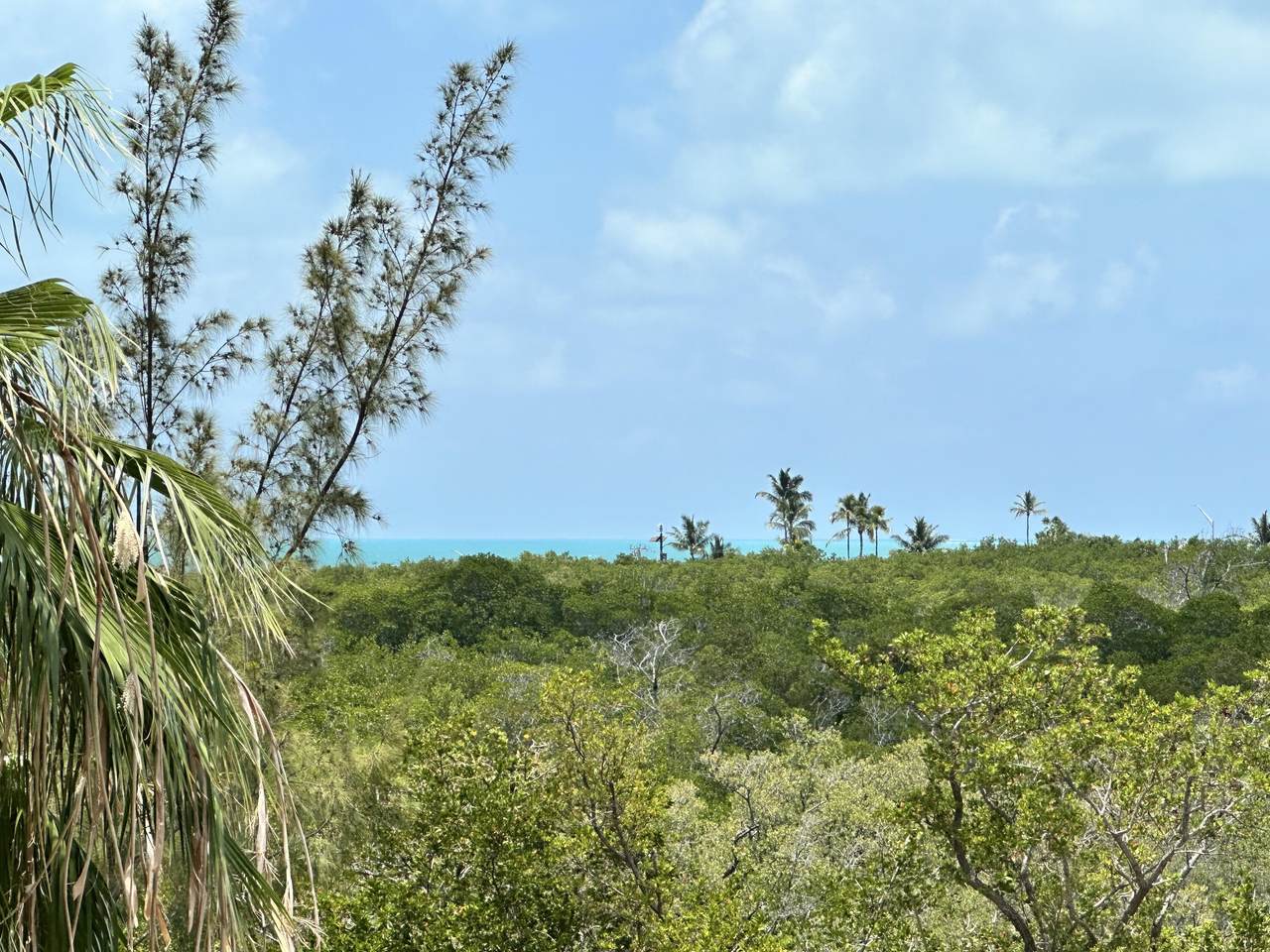 https://bt-photos.global.ssl.fastly.net/flkeys/1280_boomver_2_620109-2.jpg