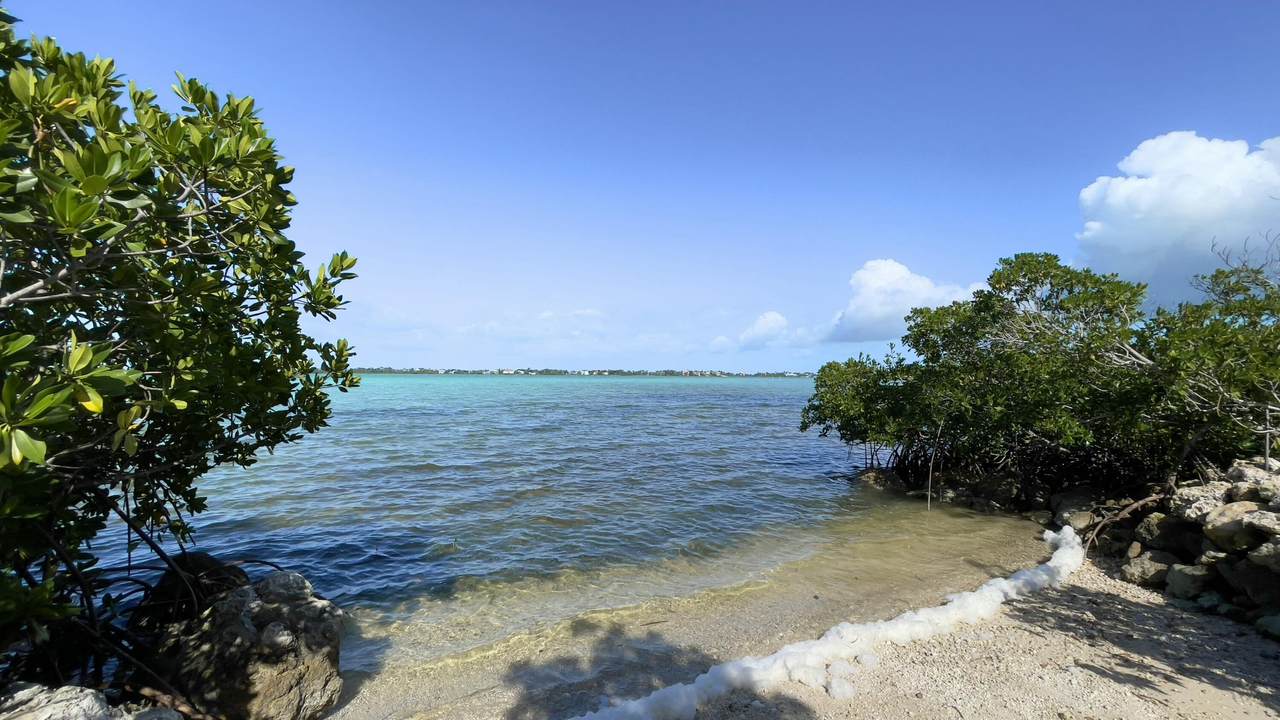https://bt-photos.global.ssl.fastly.net/flkeys/1280_boomver_1_620253-2.jpg