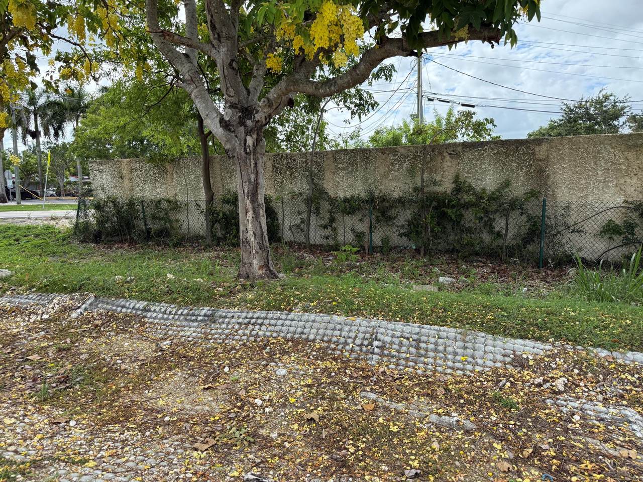 https://bt-photos.global.ssl.fastly.net/flkeys/1280_boomver_1_620260-2.jpg