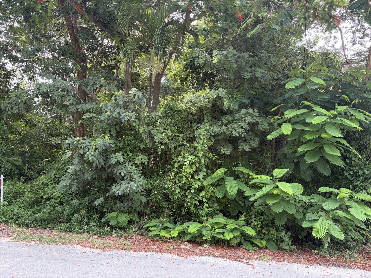 657 Colson Drive - Photo 1