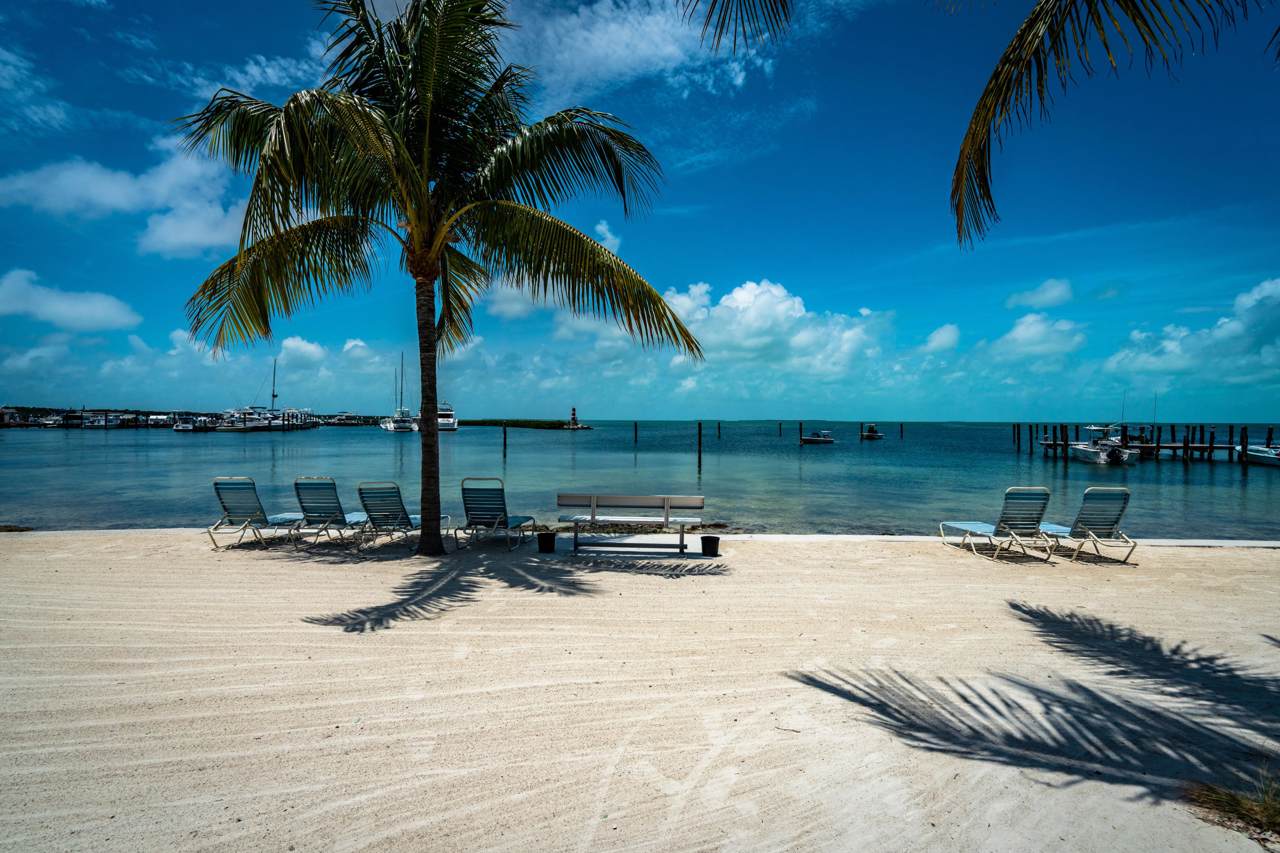 87200 Overseas Highway - Photo 1