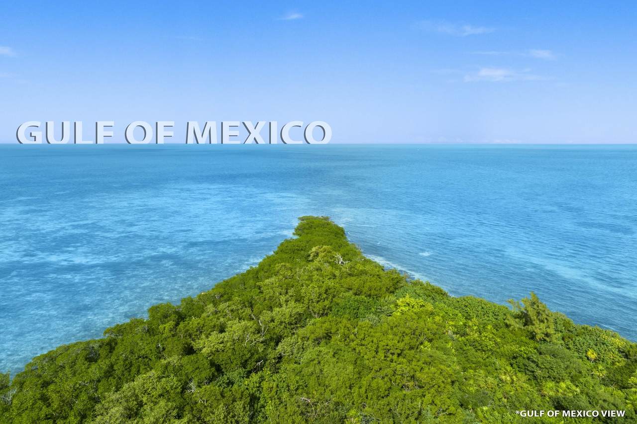Gulf Of Mexico Boulevard - Photo 1