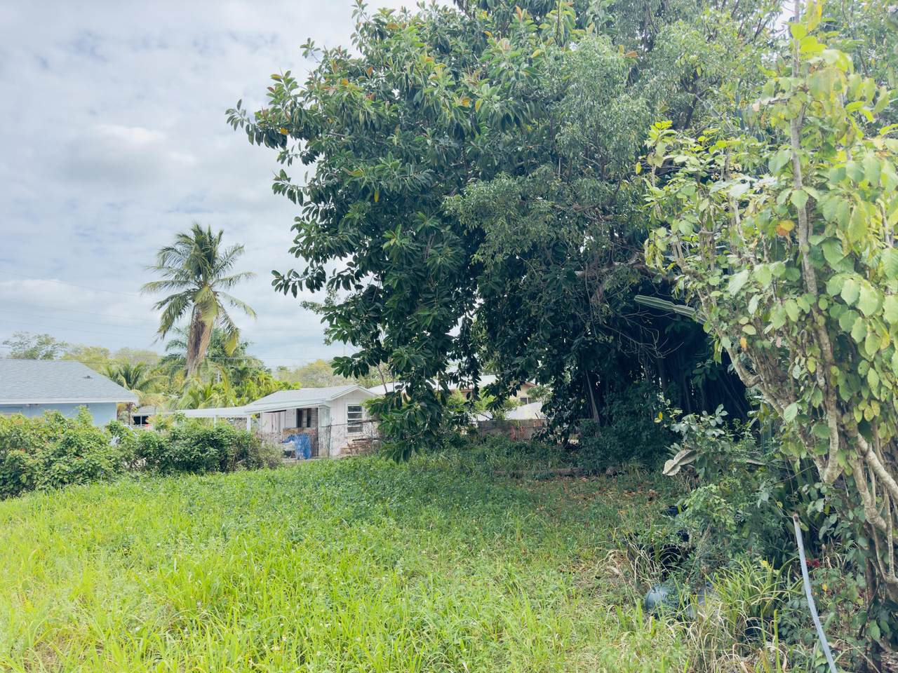 7 Palm Beach Drive - Photo 1