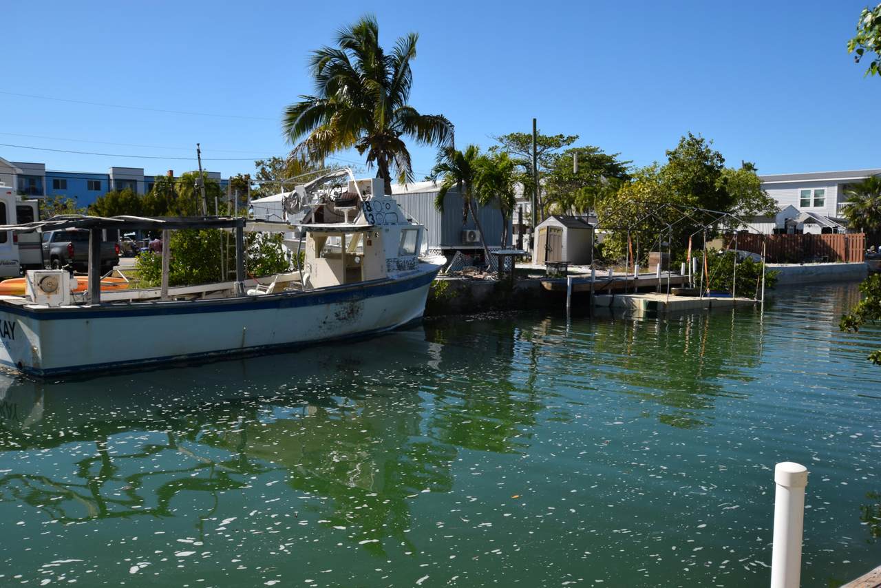 https://bt-photos.global.ssl.fastly.net/flkeys/1280_boomver_2_614250-2.jpg