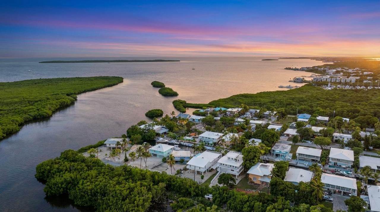 1210 Cactus Street - Photo 1