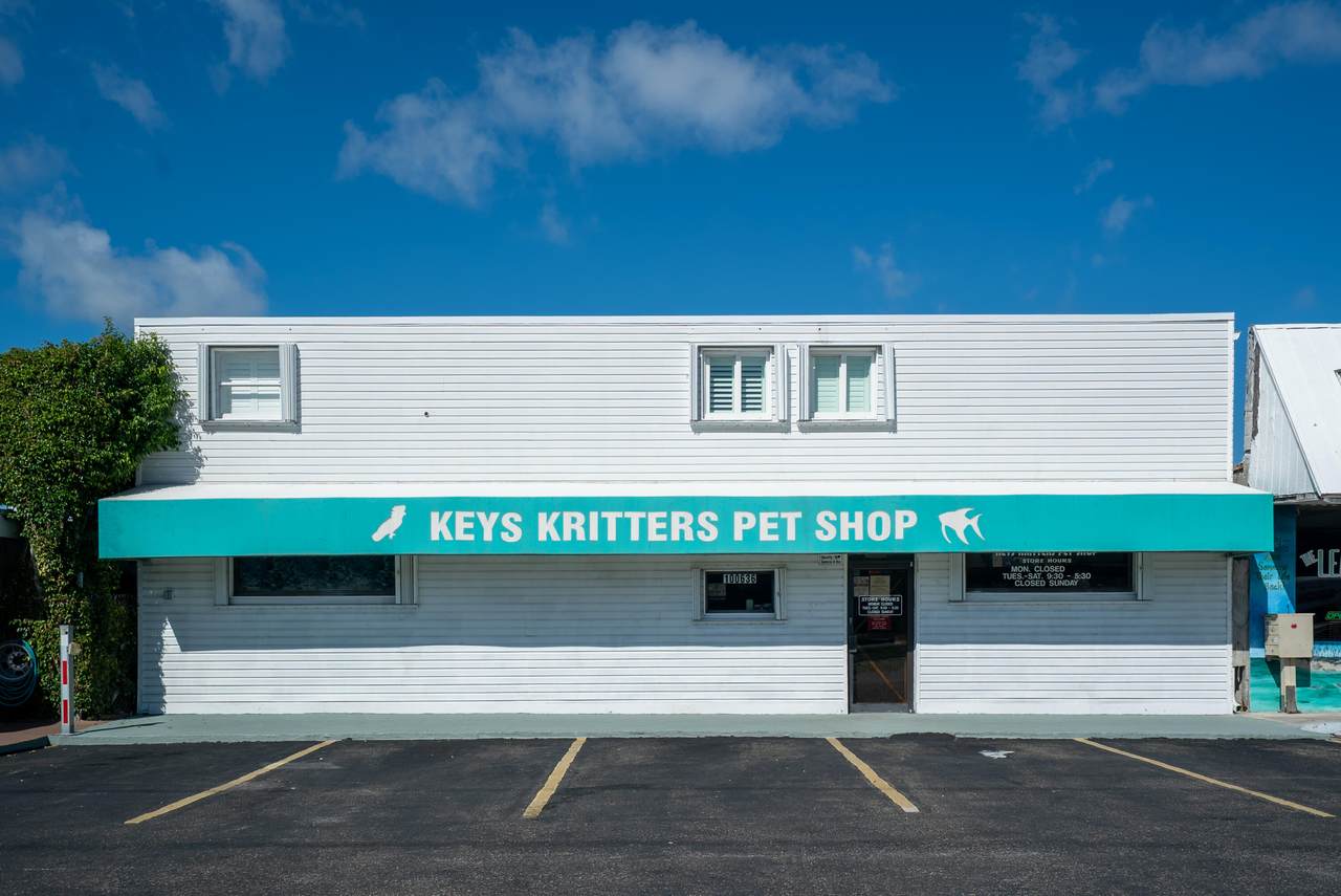 https://bt-photos.global.ssl.fastly.net/flkeys/1280_boomver_2_617749-2.jpg