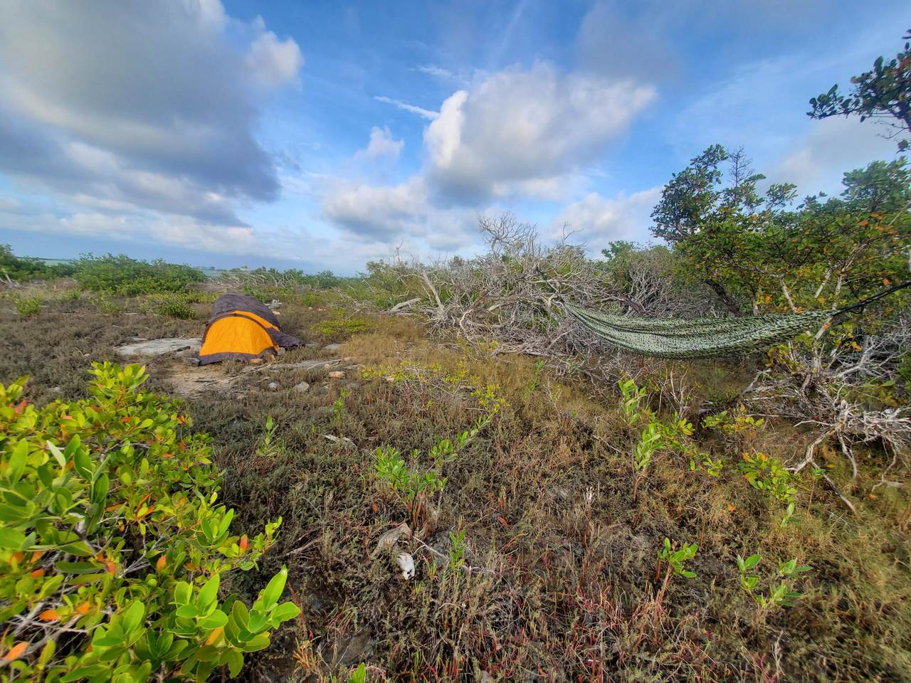 https://bt-photos.global.ssl.fastly.net/flkeys/1280_boomver_1_619330-2.jpg