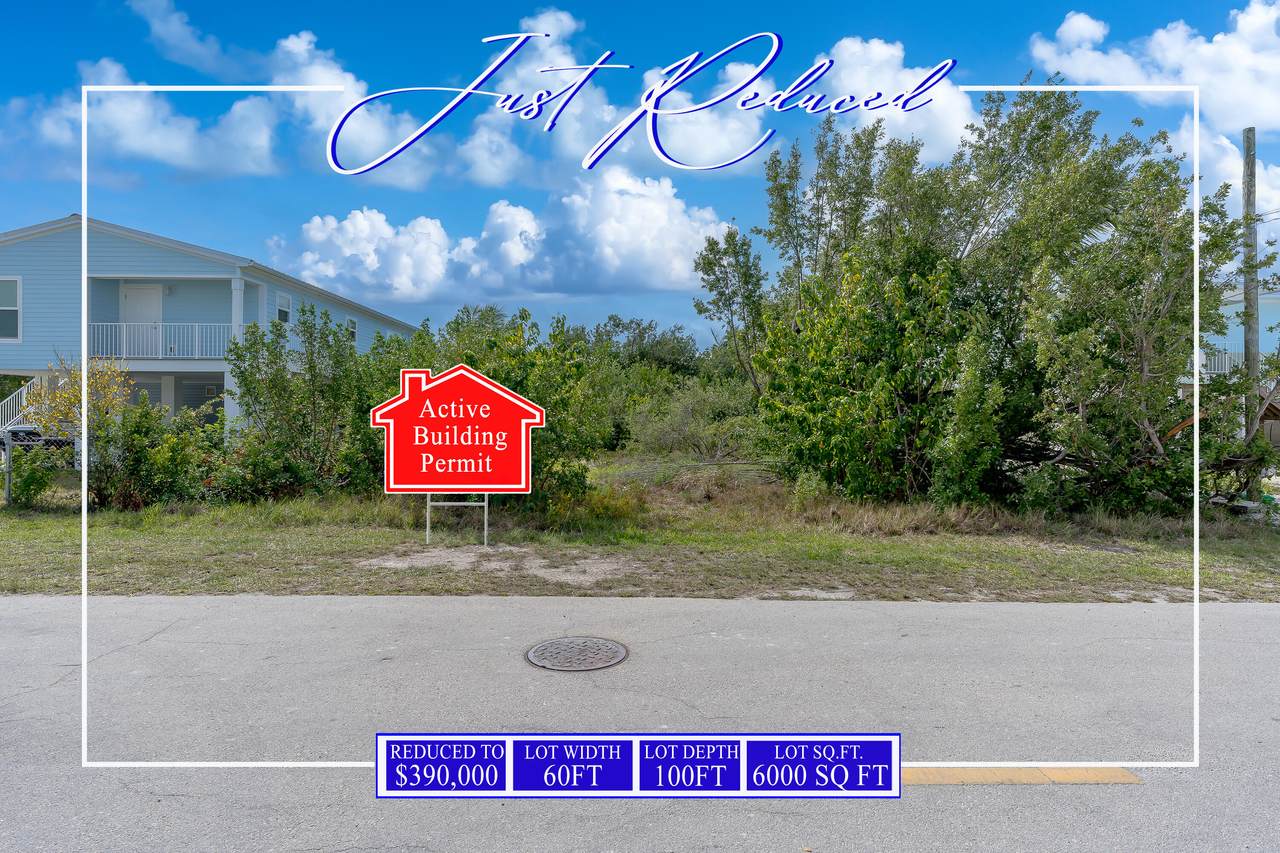 27378 Jamaica Lane - Photo 1