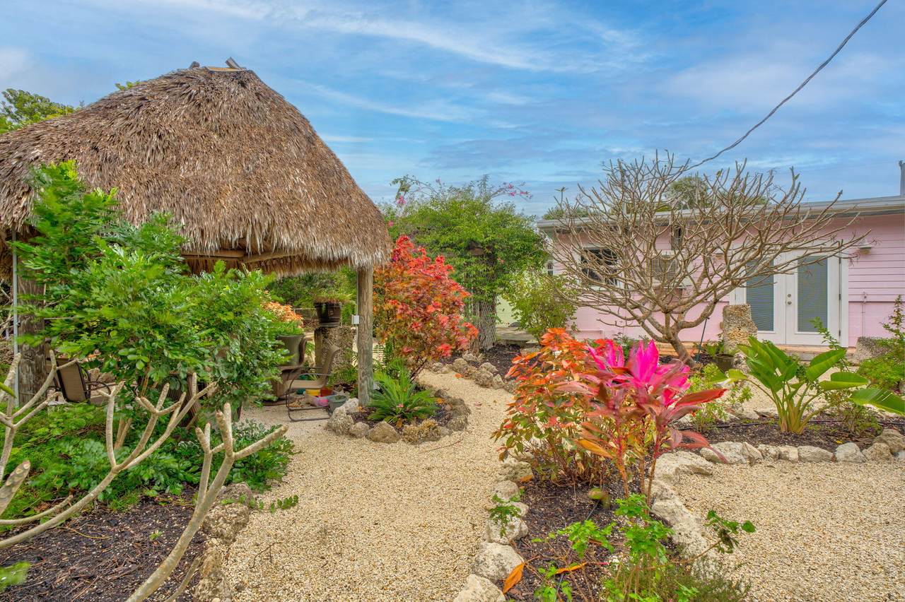 30374 Oleander Boulevard - Photo 1