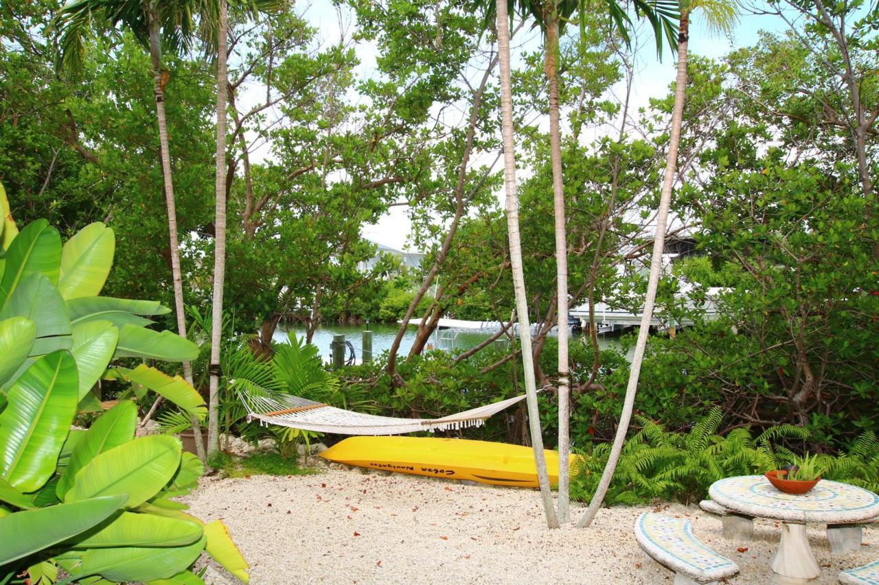11 Ibis Lane - Photo 1