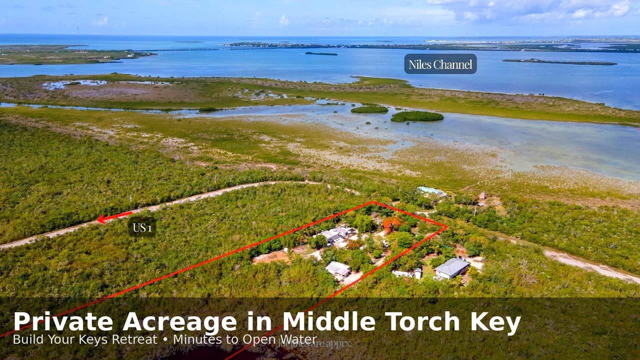 2231 Middle Torch Road - Photo 1