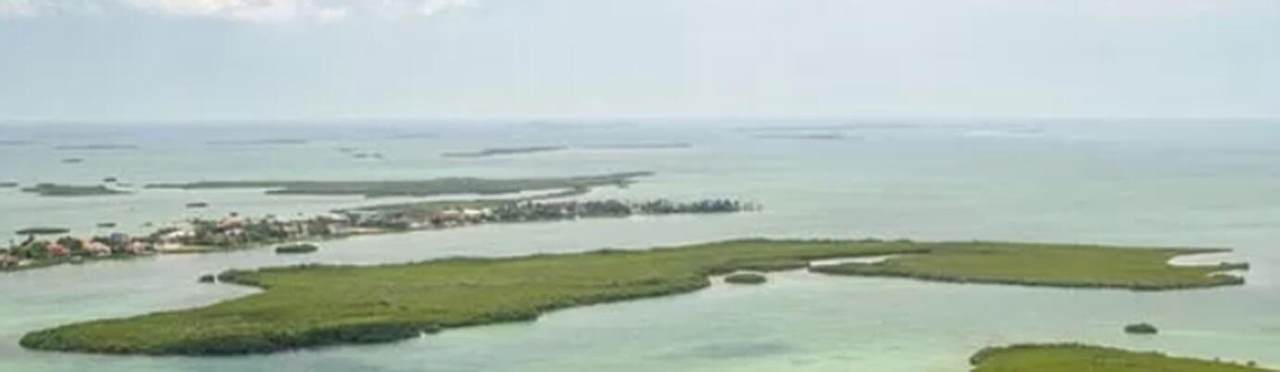  Oharas Key Street Gulf - Photo 1