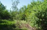 Vacant Lot Cruton Ave - Photo 1