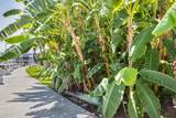 97 Coco Plum Drive - Photo 35