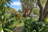 110 Pippin Drive - Photo 8
