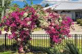 1130 Calle Ensenada - Photo 45