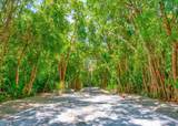 97652 Overseas Highway - Photo 41