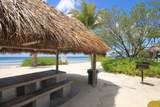 186 Biscayne Boulevard - Photo 41