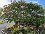 55 Boca Chica Road - Photo 3