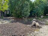 148 Tequesta Street - Photo 2