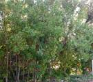 234 Antigua Road - Photo 1