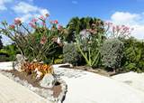 890 79th Street Ocean - Photo 3