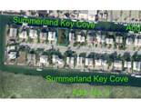 24285 Caribbean Drive - Photo 4
