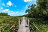 205 Stirrup Key Boulevard - Photo 53