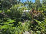 522 William Street - Photo 7