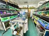 5800 Overseas Highway - Photo 4