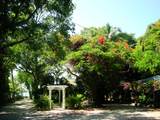 95480 Overseas Highway - Photo 3