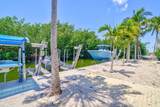 29012 Bigonia Drive - Photo 3